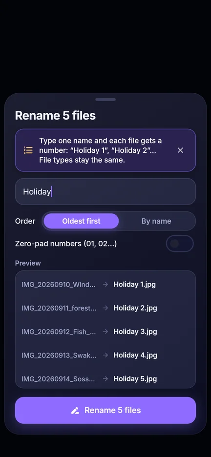 Bulk rename preview